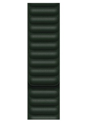Apple 41mm Leather Link - Sequoia Green