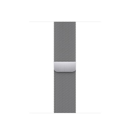 Apple 41mm Silver Milanese Loop