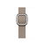 Apple 41mm Tan Modern Buckle - Small