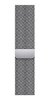 Apple 45mm Silver Milanese Loop