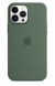 Apple Silicone Case with MagSafe for iPhone 13 Pro Max - Eucalyptus