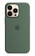 Apple Silicone Case with MagSafe for iPhone 13 Pro - Eucalyptus