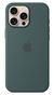 Apple Silicone Case with MagSafe for iPhone 16 Pro Max - Lake Green