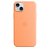 Apple Silicone Case with MagSafe for iPhone 15 Plus - Orange Sorbet