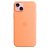 Apple Silicone Case with MagSafe for iPhone 15 Plus - Orange Sorbet