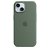 Apple Silicone Case with MagSafe for iPhone 15 - Cypress