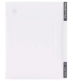 Avery A4 Transparent Plastic Project File - Clear