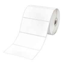 view Brother RDS03C1 102mm x 50mm TD Die Cut Label Roll