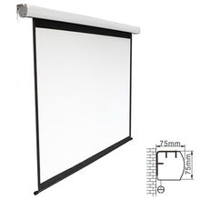 view Brateck 135 Inch 16:9 Electric Projector Screen with Remote