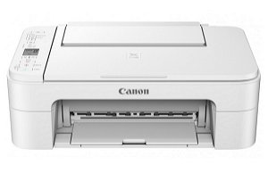 Canon PIXMA TS3165W Inkjet Multifunction Printer - White