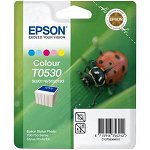 Epson T0530 Colour Ink Cartridge
