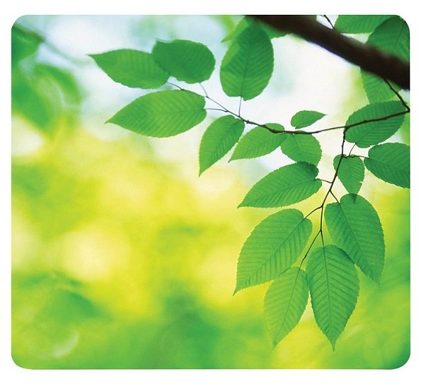 Fellowes Recycled Optical Mouse Pad - Leaves