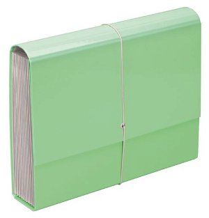 File Master Pastel 13 Pocket Expanding File - Green