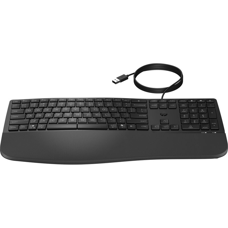 HP 485 USB-A Wired Keyboard - Black