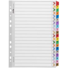 view Icon A4 Reinforced Cardboard Indices Coloured - 20 Tabs