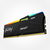 Kingston Fury Beast 32GB DDR5 4800MT/s DIMM Memory - RGB