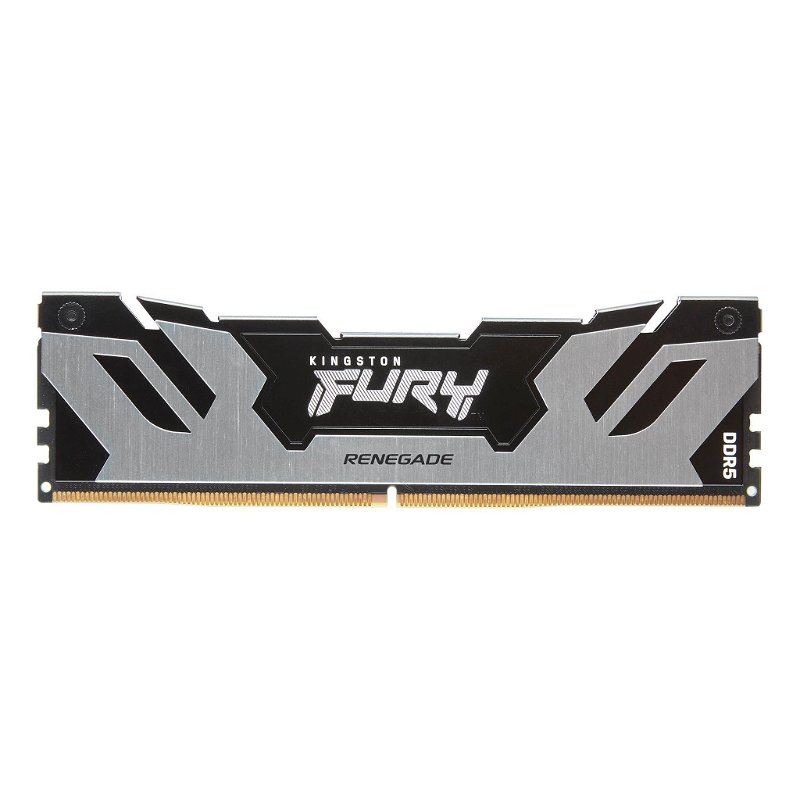 Kingston Fury Renegade 16GB DDR5 6400MT/s DIMM Memory - Silver