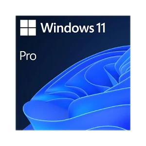 Microsoft Windows 11 Pro 64-bit DVD OEM Licence