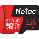 Netac P500 Extreme Pro 256GB UHS-I U3 V30 microSDXC Card with SD Adapter