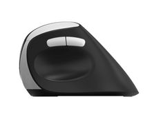 view Rapoo EV250 Silent Ergonomic Wireless Optical Mouse - Black