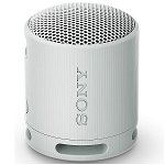 Sony SRSXB100H Bluetooth Wireless Portable Speaker - Grey